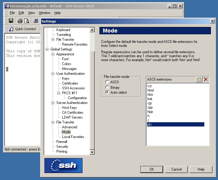 Setting proper ASCII extensions for automatic detect when transferring